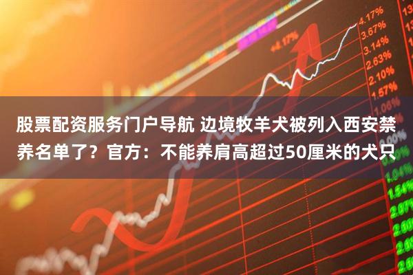 股票配资服务门户导航 边境牧羊犬被列入西安禁养名单了？官方：不能养肩高超过50厘米的犬只